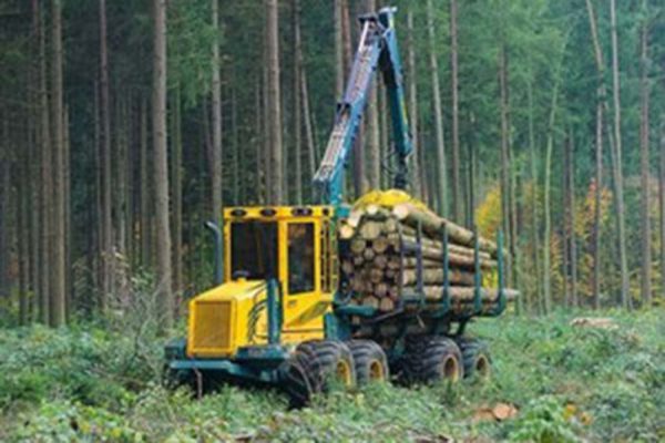 Holz Berner GmbH aus Friedburg – Ihr Spezialist für Holzschlägerung, Holzrückung & Biomasse